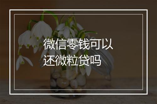 微信零钱可以还微粒贷吗
