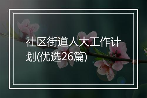 社区街道人大工作计划(优选26篇)