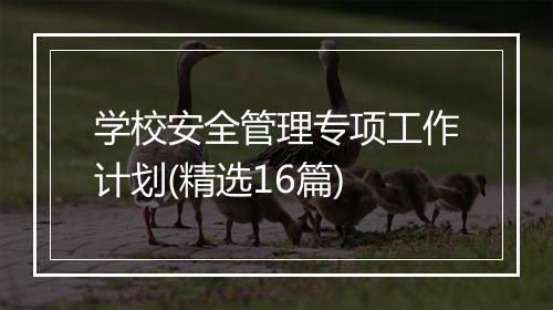 学校安全管理专项工作计划(精选16篇)