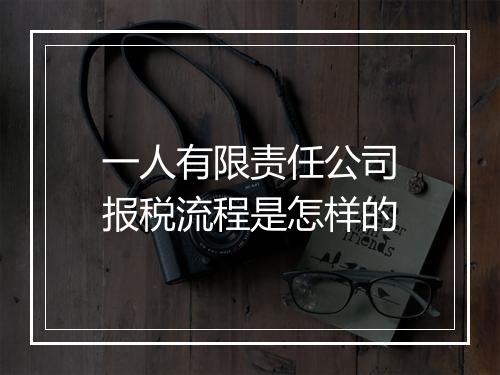 一人有限责任公司报税流程是怎样的