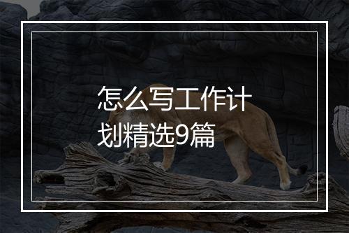 怎么写工作计划精选9篇