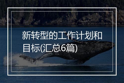 新转型的工作计划和目标(汇总6篇)