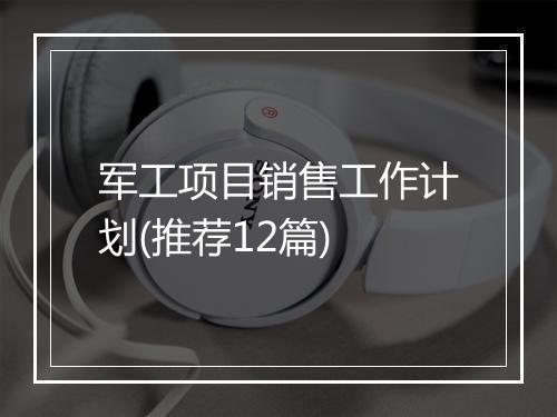 军工项目销售工作计划(推荐12篇)