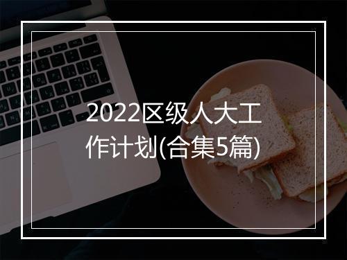 2022区级人大工作计划(合集5篇)