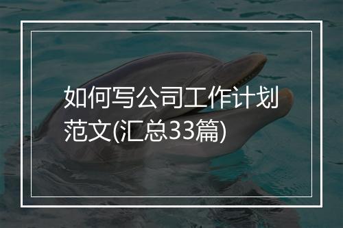 如何写公司工作计划范文(汇总33篇)
