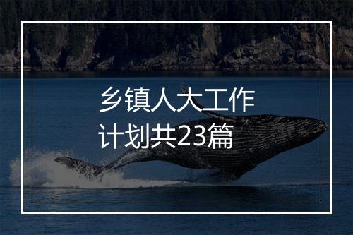 乡镇人大工作计划共23篇