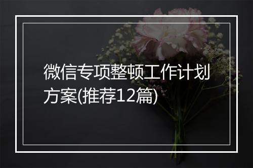 微信专项整顿工作计划方案(推荐12篇)