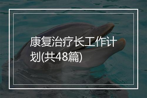 康复治疗长工作计划(共48篇)