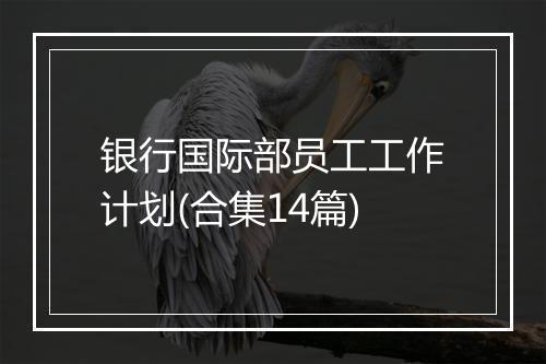 银行国际部员工工作计划(合集14篇)