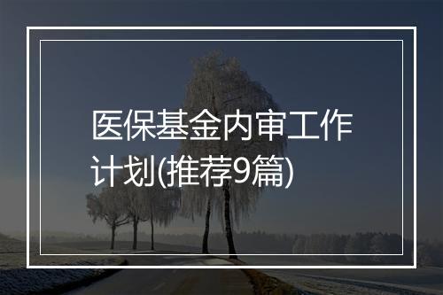 医保基金内审工作计划(推荐9篇)