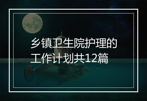乡镇卫生院护理的工作计划共12篇