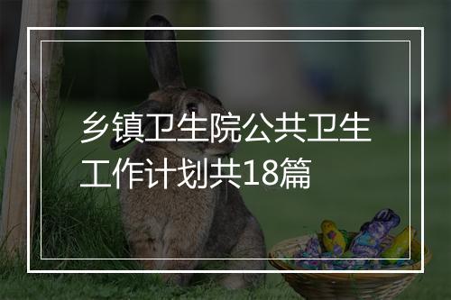 乡镇卫生院公共卫生工作计划共18篇