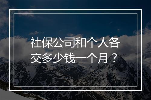 社保公司和个人各交多少钱一个月？