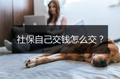 社保自己交钱怎么交？