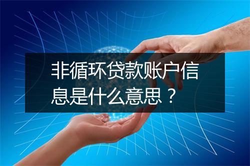 非循环贷款账户信息是什么意思？