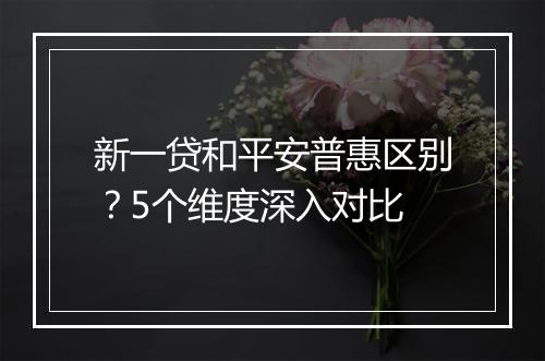 新一贷和平安普惠区别？5个维度深入对比
