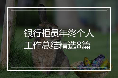 银行柜员年终个人工作总结精选8篇