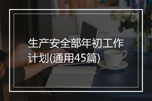 生产安全部年初工作计划(通用45篇)