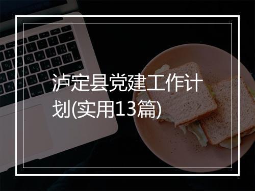 泸定县党建工作计划(实用13篇)