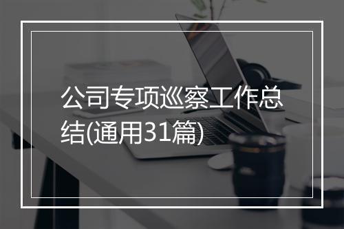 公司专项巡察工作总结(通用31篇)