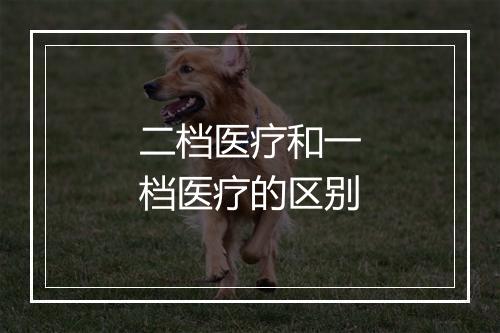 二档医疗和一档医疗的区别