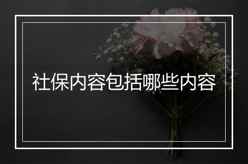 社保内容包括哪些内容