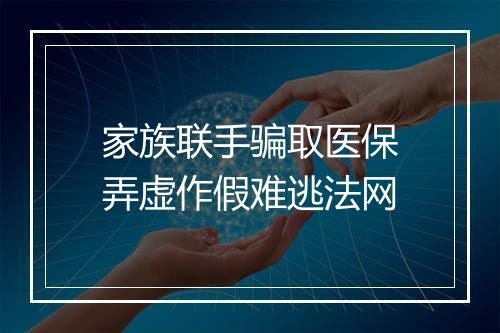 家族联手骗取医保弄虚作假难逃法网