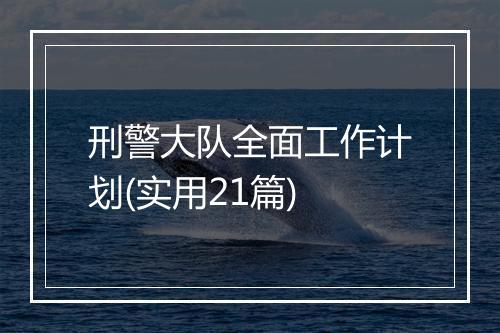 刑警大队全面工作计划(实用21篇)
