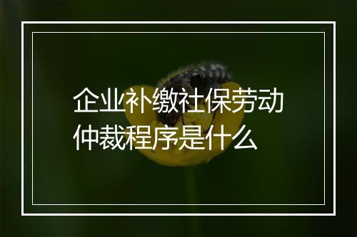 企业补缴社保劳动仲裁程序是什么
