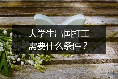 大学生出国打工需要什么条件？