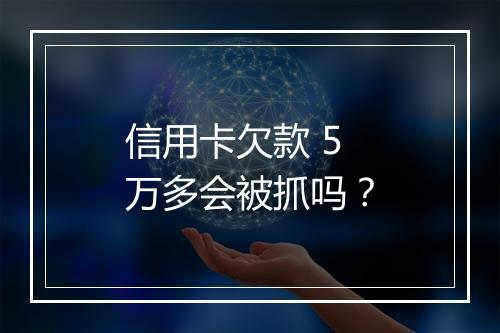信用卡欠款 5 万多会被抓吗？
