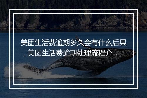 美团生活费逾期多久会有什么后果，美团生活费逾期处理流程介绍