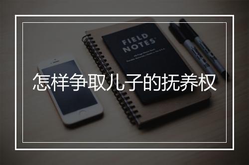 怎样争取儿子的抚养权