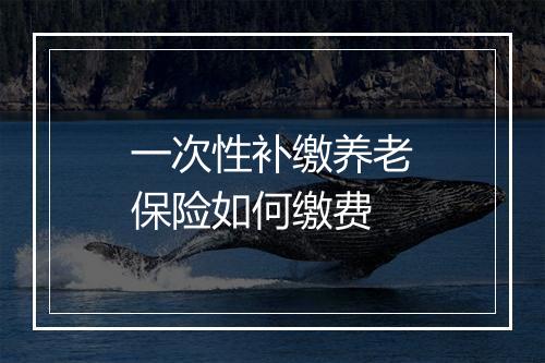 一次性补缴养老保险如何缴费