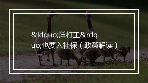 “洋打工”也要入社保（政策解读）