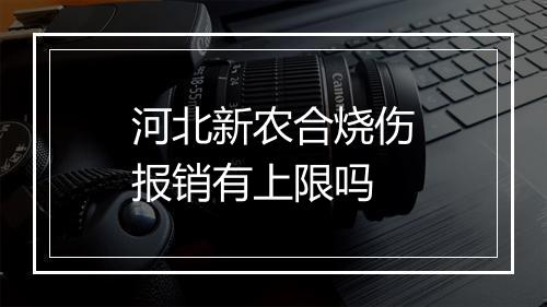 河北新农合烧伤报销有上限吗