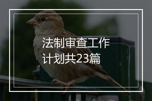 法制审查工作计划共23篇