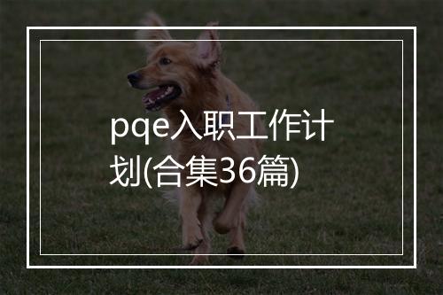 pqe入职工作计划(合集36篇)