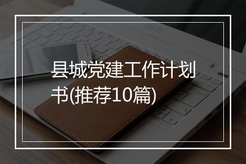 县城党建工作计划书(推荐10篇)