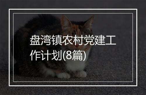 盘湾镇农村党建工作计划(8篇)