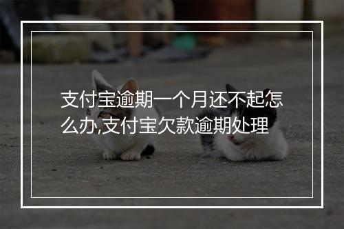 支付宝逾期一个月还不起怎么办,支付宝欠款逾期处理
