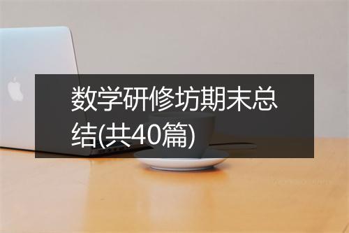 数学研修坊期末总结(共40篇)