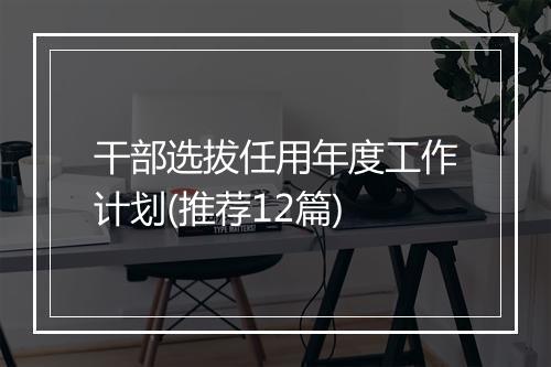 干部选拔任用年度工作计划(推荐12篇)