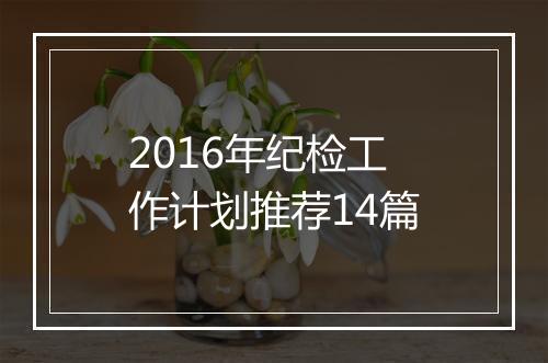 2016年纪检工作计划推荐14篇