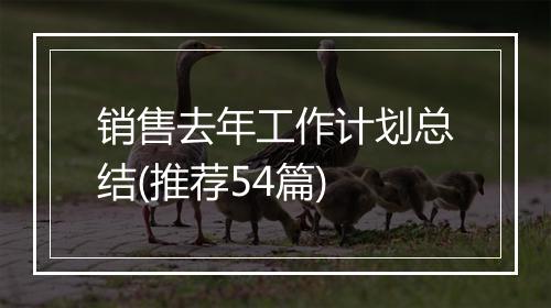 销售去年工作计划总结(推荐54篇)