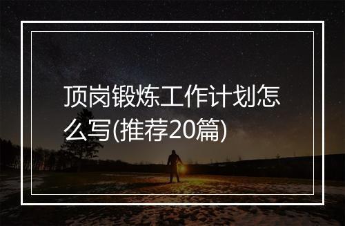顶岗锻炼工作计划怎么写(推荐20篇)