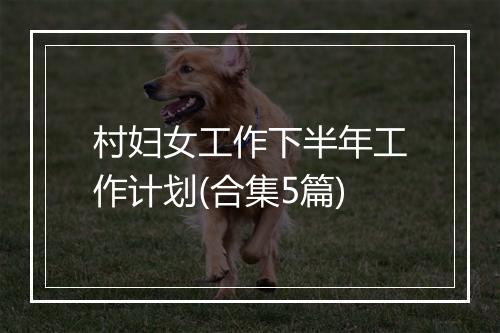 村妇女工作下半年工作计划(合集5篇)