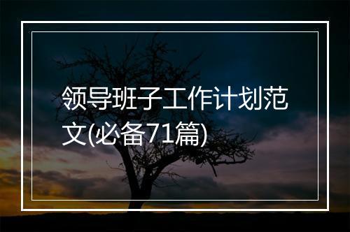 领导班子工作计划范文(必备71篇)