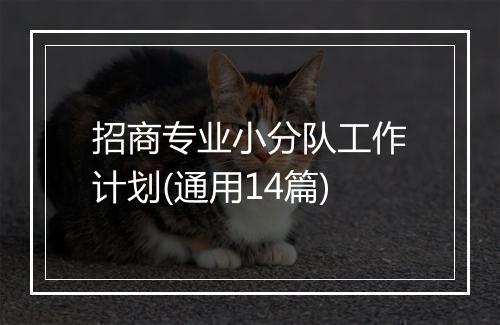 招商专业小分队工作计划(通用14篇)