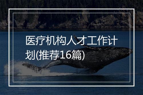 医疗机构人才工作计划(推荐16篇)